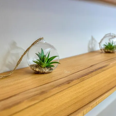 Annona Apartment Becej