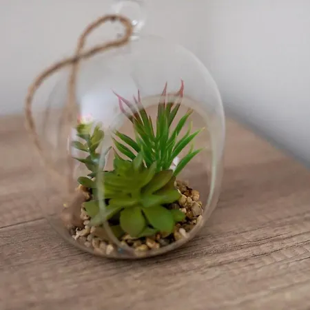 Annona Apartamento Bečej